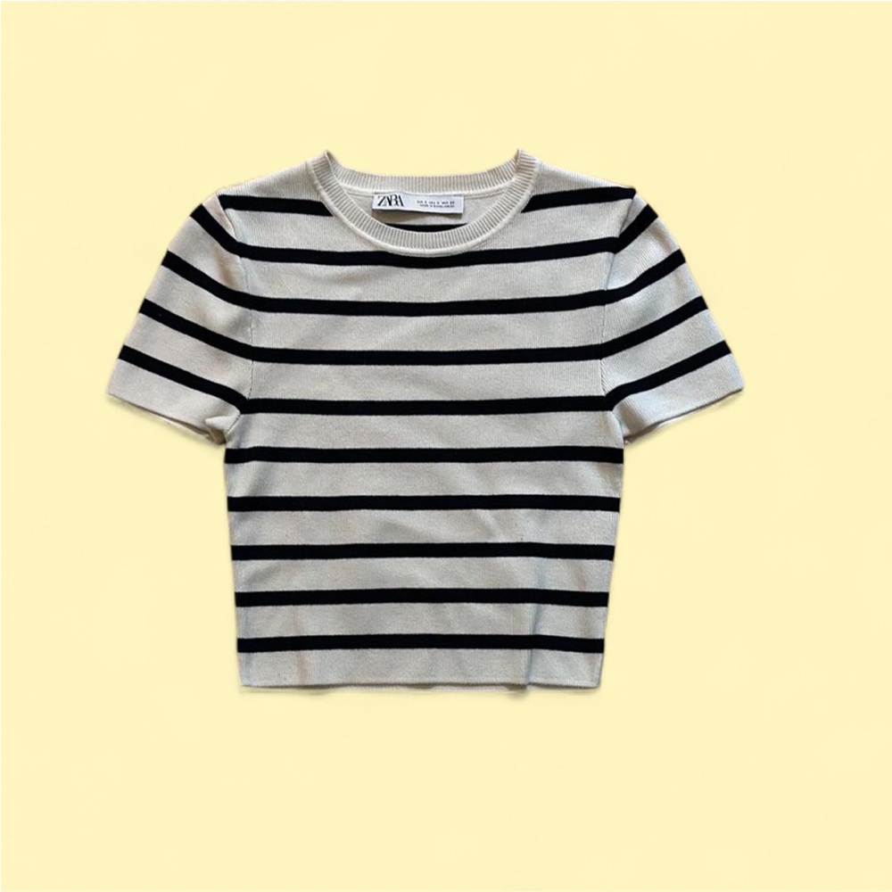 Zara Monochrome Striped Knit Tee